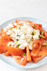 Tomato salad with onions and cheese served on the plate