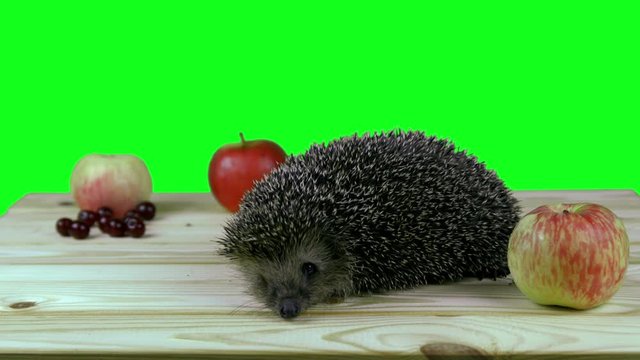 rtrt tyhtyty tyjh tyh tyh tyhtyh tyh tyh