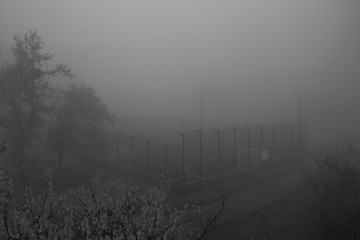 Mist cold autumn morning