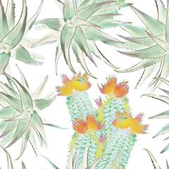 Cactus floral bouquet with aloe vera, seamless pattern.