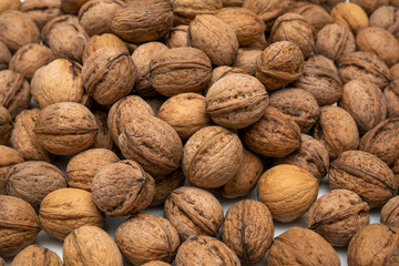 Food and macro photography, walnuts photos