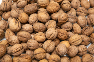 Food and macro photography, walnuts photos