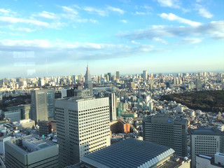 View from the observatory of the Tokyo Metropolitan Government 