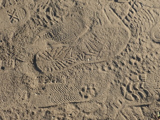 footprint trace of a hiker on a dusty trail