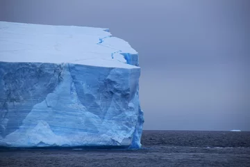 Fotobehang Trinity Peninsula  Icebergs , Antarctica  © OanaG