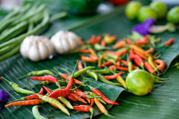 Thai Ingredients - 336669913