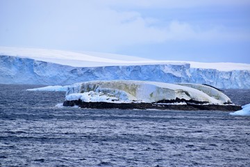 Trinity Peninsula  Icebergs , Antarctica 