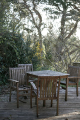 Obraz premium wooden bench in the park
