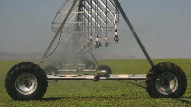 Pivot irrigation on a vegetable field