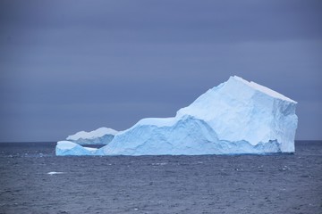 Trinity Peninsula  Icebergs , Antarctica 