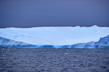 Trinity Peninsula Icebergs , Antarctica 