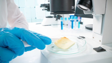 Cheese quality inspection in a quality control laboratory