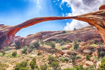 Türaufkleber Landscape Arch in Arches National Park in the USA © Fyle
