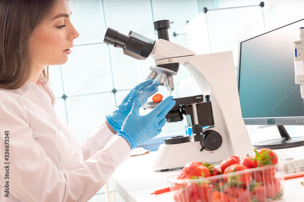 Poster Quality inspection of  food  Checking the content of nitrates and herbicides in strawberries