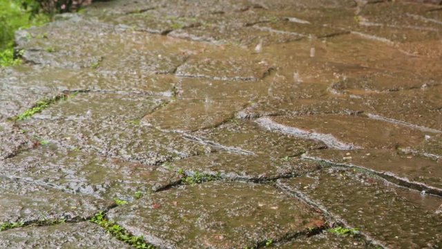 Close up of rain falling on a stone path in the Wuyi Mountains, China.