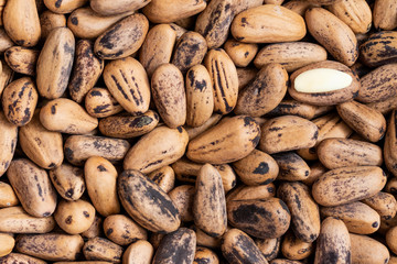 Close-up of raw edible pine nuts with their shell, pine nuts photographed with natural light