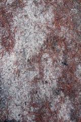 rusty metal background