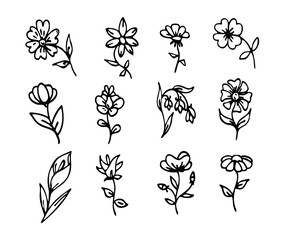 doodle floral set, hand traced drawing, collection of  simple flowers, black and white, isolated illustration.