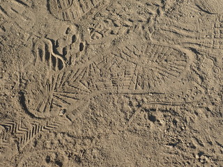 footprint trace of a hiker on a dusty trail