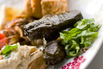  Plat de spécialités de la cuisine libanaise