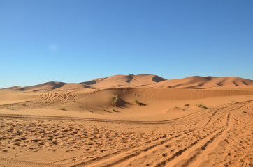 Fototapeta na wymiar Merzouga is a small Moroccan town in the Sahara Desert, near the Algerian border. Beautiful sand dunes with blue sky.