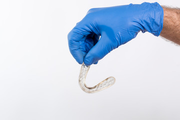 Férula dental para tratar el bruxismo sujeta con una mano con guante azul sobre un fondo blanco