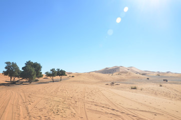 Merzouga is a small Moroccan town in the Sahara Desert, near the Algerian border. Camel is one of the major transport in the desert.