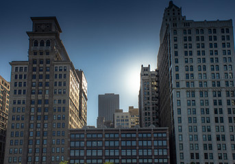 Obraz premium Chicago in summer with clear skies with buildings and greenery
