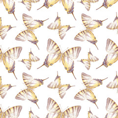 Watercolor seamless pattern with beautiful butterflies, endless wallpaper.