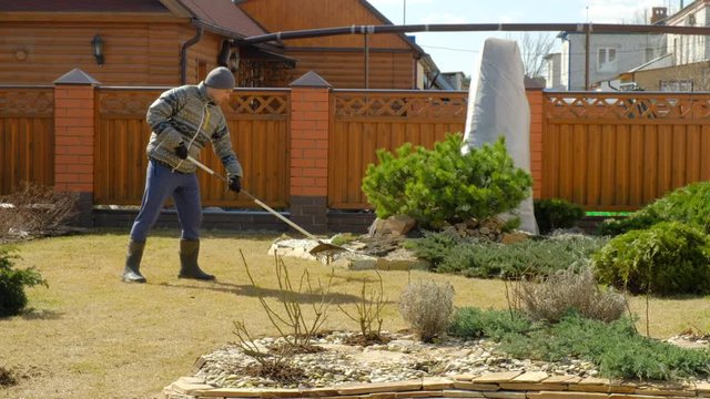 Cleaning up the grass with a rake. Aerating and scarifying the lawn