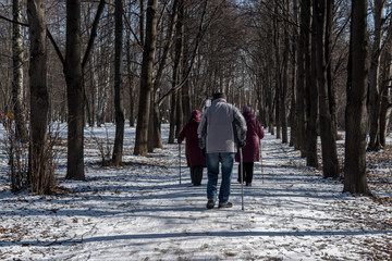 Elderly people walk together in the park in spring with ski poles, doing Swedish walking