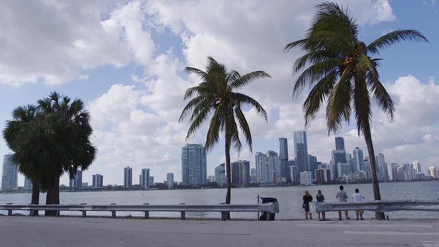 The skyline of downtown Miami Florida, palm trees in the foreground. Wide Shot