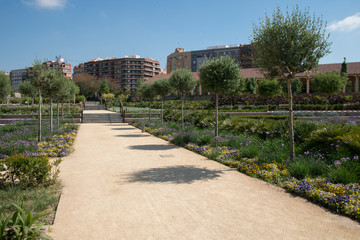 Parque Central de Valencia - Central Park of Valencia