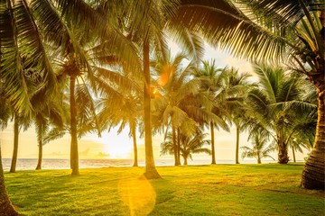 green lawn with palm trees by the sea, tropical landscape