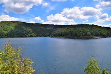 Lake forest hills nature landscape