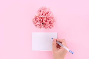 Mother's Day design concept - Pink carnations on a pale pink background with gratitude greeting card and words, top view, flat lay, copy space