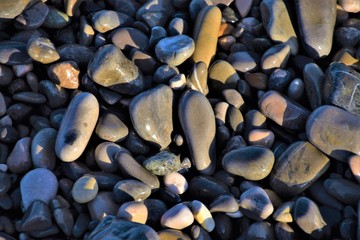 Pebbles on beach closeup background