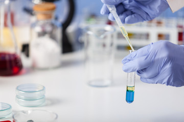 Fototapeta premium Examination of samples in the laboratory.