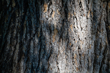 Parc Vallee aux Loups