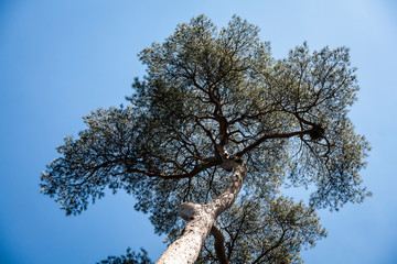 Parc Vallee aux Loups