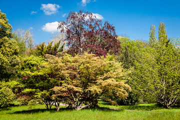 Parc Vallee aux Loups © sebastien rabany