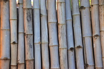 Dry bamboo stick wall detail