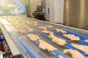 Chicken fillet production line . Factory for the production of food from meat