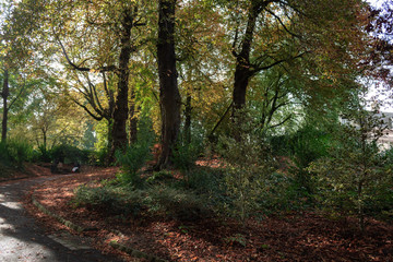 The small town of Arras in the North of France