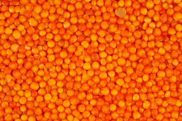 Food backgraund: red lentils .