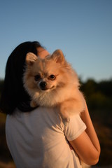 Obraz premium Dog enjoys warm weather