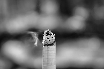 burning cigarette on black background