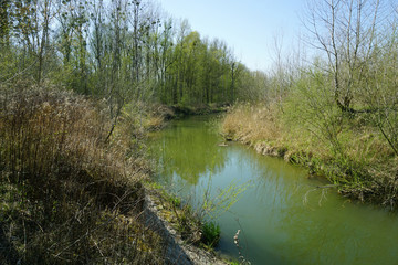 Fototapeta na wymiar Fluss in der Auenlandschaft, Wasser im Erholungsgebiet, Wandern in Österreich
