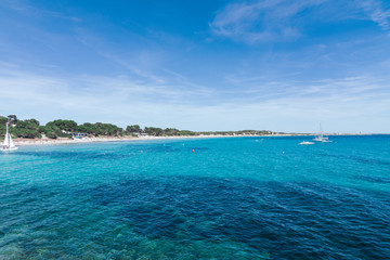 Naklejka na ściany i meble Beach, Ses Salines Natural Park, Ibiza, Spain, Europe