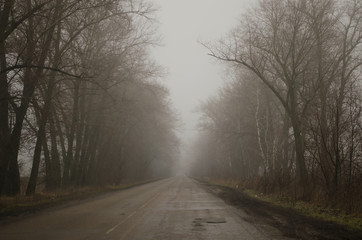 Obraz na płótnie Canvas long road in the fog